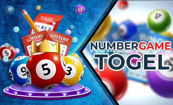 Cara Memilih Bandar Togel Toto Terpercaya dan Aman